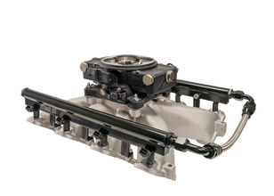 FiTech - Retro LS Port 750 HP EFI Matte Black System With LS1 Intake