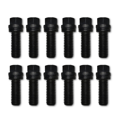 12 Pcs