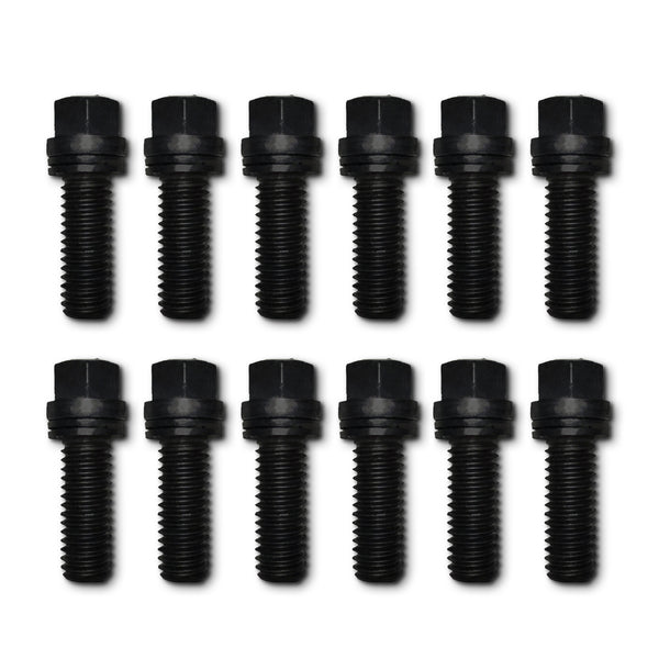 12 Pcs
