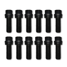12 Pcs