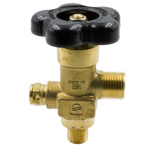 CO2 BOTTLE KIT COMPLETE KIT INCLUDES 10 OUNCE BOTTLE VALVE REGULATOR & TUBING