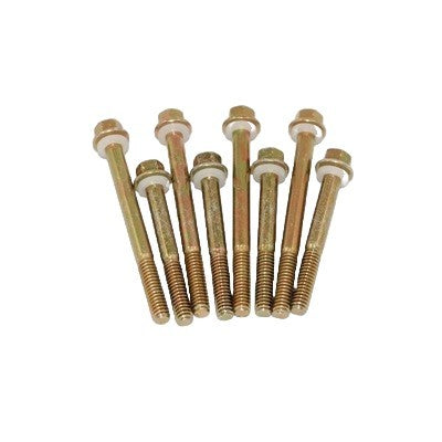 4160 Fuel Bowl Screws (8)