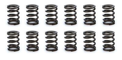 Valve Spring Set