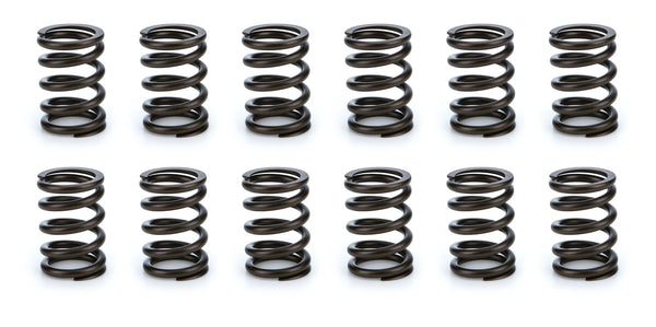 Valve Spring Set