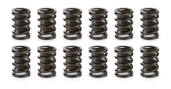 Valve Spring Set