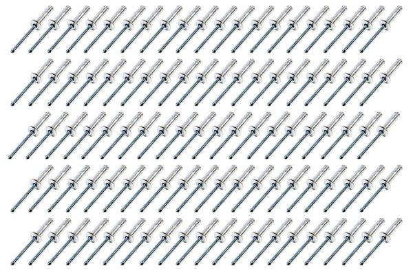 Small Head Rivet Silver 100pc 3/16in