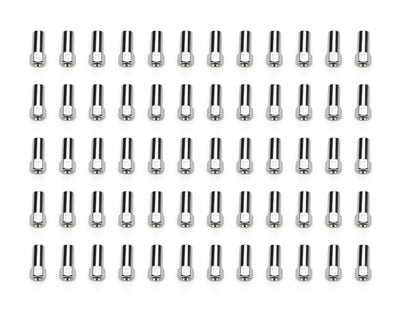 60 Lugnuts SST OE LUG 13/16in 1/2 C