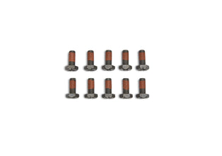 Differential Ring Gear Bolt Kit