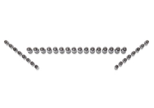 Lash Adjusters