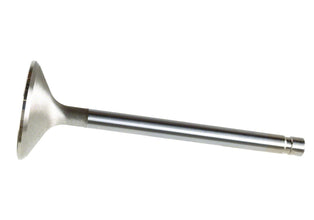 Exhaust Valve