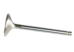Exhaust Valve