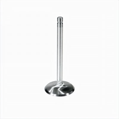 Exhaust Valve