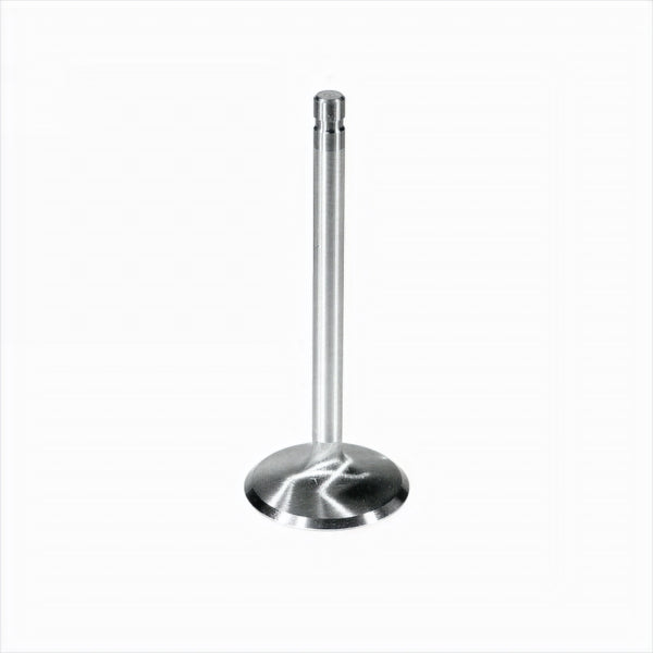 Exhaust Valve