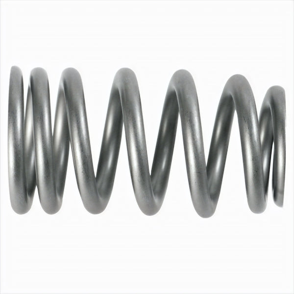 PAC 1219X Valve Spring