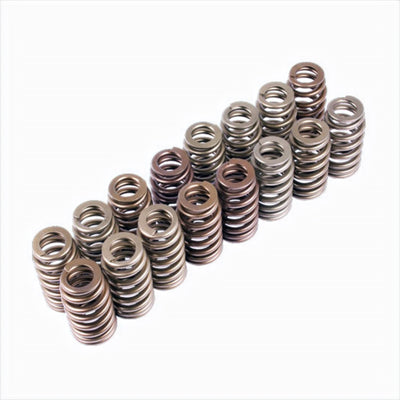 Valve Spring Kit