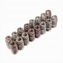 Valve Spring Kit