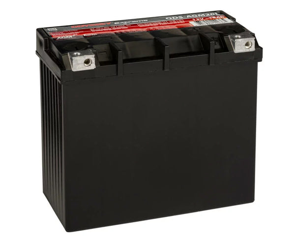 Powersports Battery 12V 275CCA