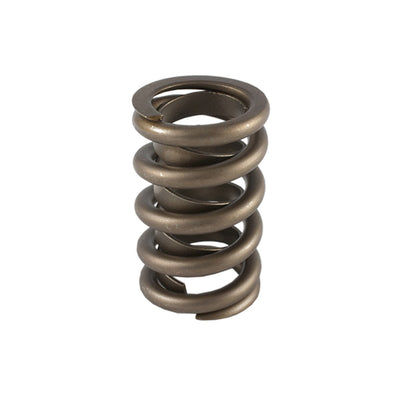 1.260 Single Valve Spring w/Damper (1)