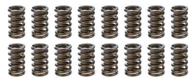 1.260 Valve Springs  w/ Damper (16)