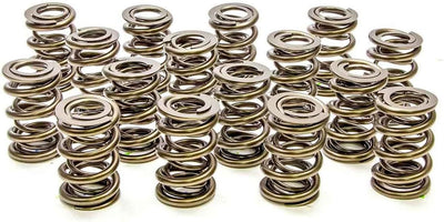 1.550 Dual Valve Springs (16)