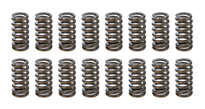 1.025 Valve Springs - Ovate Beehive (16)