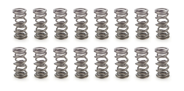 1.106 Dual Valve Springs 1300 Series (16)
