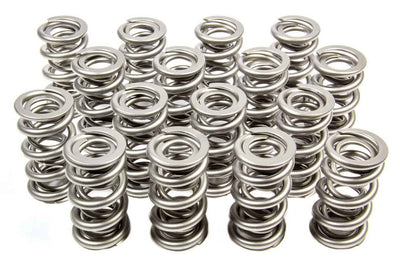 1.522 Dual Valve Springs (16)