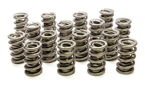 1.564 Dual Valve Springs (16)