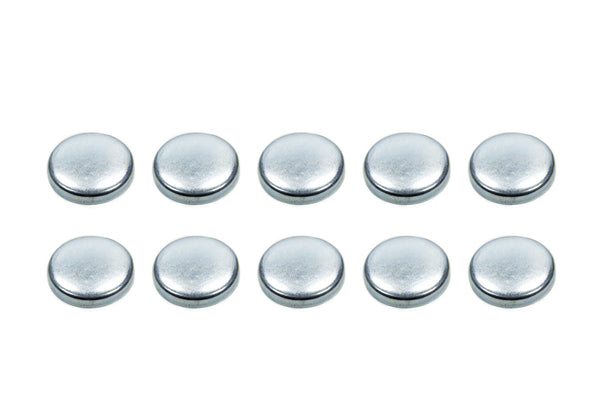 Expansion Plugs - 2-1/2 (10)
