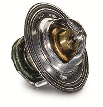 Low Temp Stat Thermostat